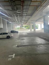 Ct Foodnex (D25), Factory #598608171